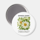 Shasta Daisy Seed Packet Magneet (Voorkant / Achterkant)