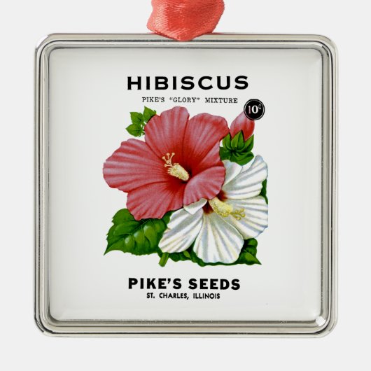 Shasta Daisy  Seed Packet Metalen Ornament (Voorkant)