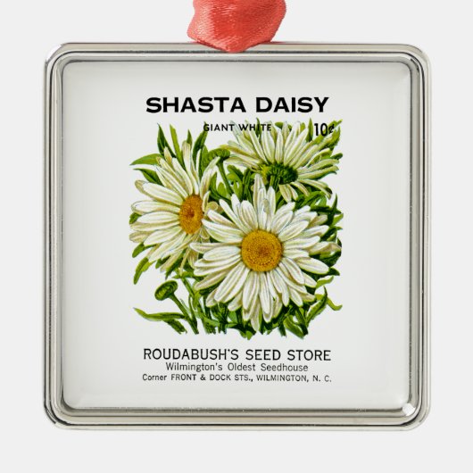 Shasta Daisy  Seed Packet Metalen Ornament (Voorkant)