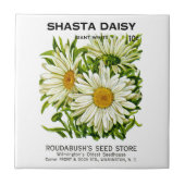 Shasta Daisy  Seed Packet Tegeltje (Voorkant)