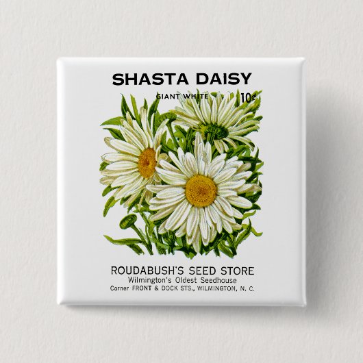 Shasta Daisy  Seed Packet Vierkante Button 5,1 Cm (Voorkant)