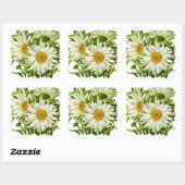 Shasta Daisy  Seed Packet Vierkante Sticker (Vel)