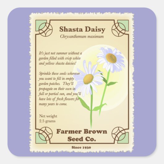 Shasta Daisy Seed Packet Vierkante Sticker (Voorkant)