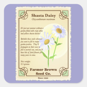 Shasta Daisy Seed Packet Vierkante Sticker