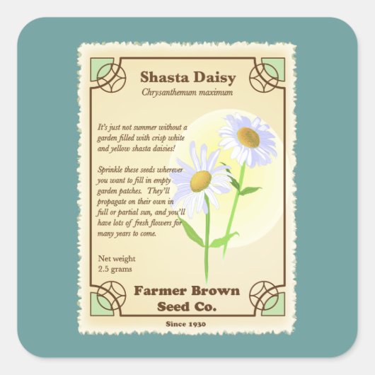 Shasta Daisy Seed Packet Vierkante Sticker (Voorkant)