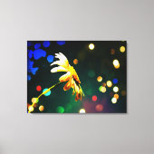 Shasta Daisy Sparkle Wrapped Canvas (Voorkant)