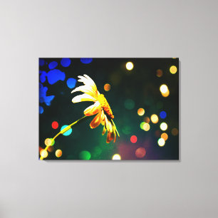 Shasta Daisy Sparkle Wrapped Canvas