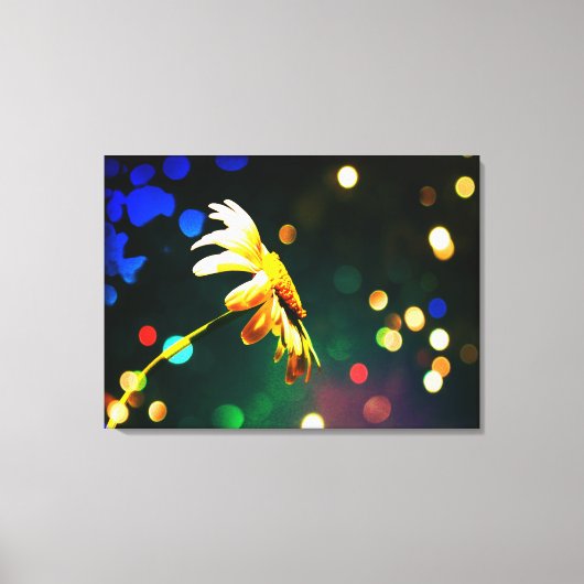 Shasta Daisy Sparkle Wrapped Canvas (Voorkant)