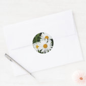 Shasta Daisy stickers (Envelop)