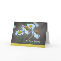 Shasta Daisy Sympathy Card-Blank Inside
