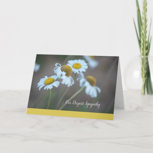 Shasta Daisy Sympathy Card-Blank Inside Kaart (Voorkant)
