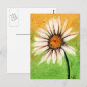 Shasta Daisy V Briefkaarten (Voorkant / Achterkant)