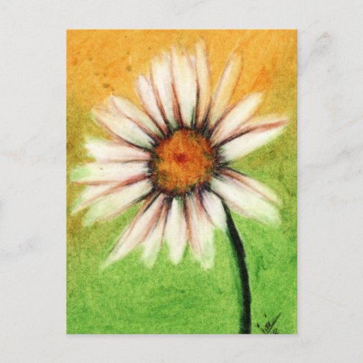 Shasta Daisy V Briefkaarten (Voorkant)