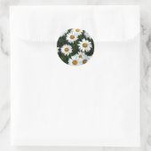 Shasta Daisy ( WestCreek) Sticker (Tas)
