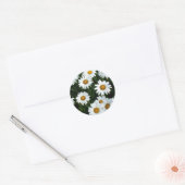 Shasta Daisy ( WestCreek) Sticker (Envelop)