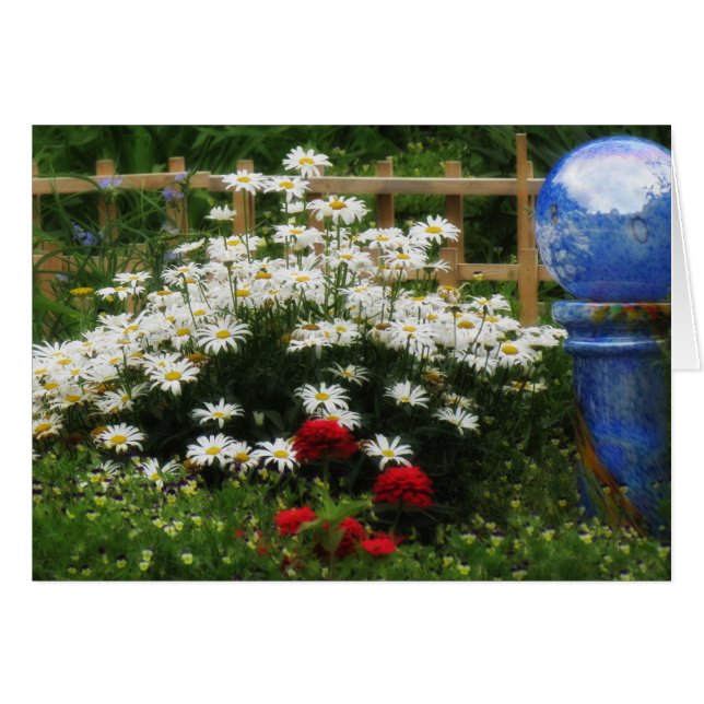 Shasta Garden - Daisies (Voorkant Horizontaal)