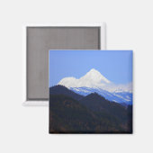 Shasta in de lente..... magneet (Voorkant / Achterkant)