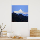 Shasta in de lente.... poster (Keuken)