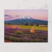 Shasta Lavender Sunset... Briefkaart (Voorkant)