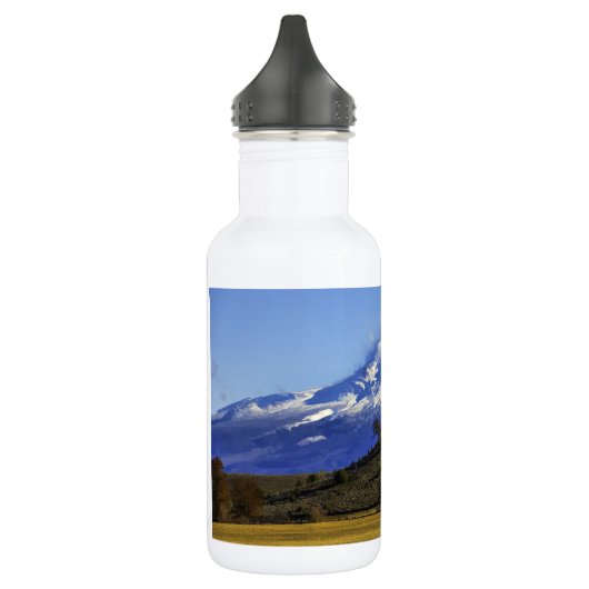 SHASTA-UITZICHT WATERFLES (Links)