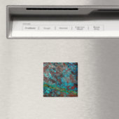 Shattuckiet Magneet (Insitu (Vaatwasser))