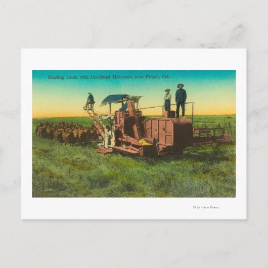 Shaver Lake Winter SceneShaver Lake, CA Briefkaart (Voorkant)