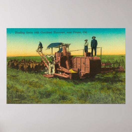 Shaver Lake Winter SceneShaver Lake, CA Poster (Voorkant)