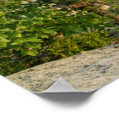 Shawangunk Mountains, NY Poster (Hoek)