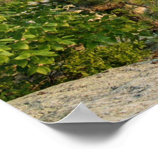 Shawangunk Mountains, NY Poster (Hoek)