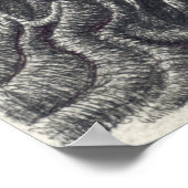 Shayol, inkttekening poster (Hoek)