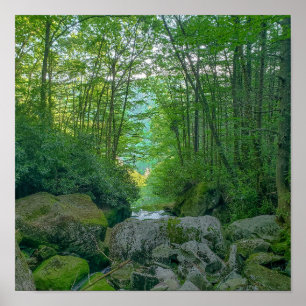Shays Run, West Virginia Poster