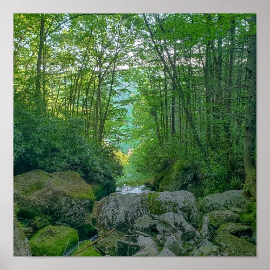Shays Run, West Virginia Poster (Voorkant)