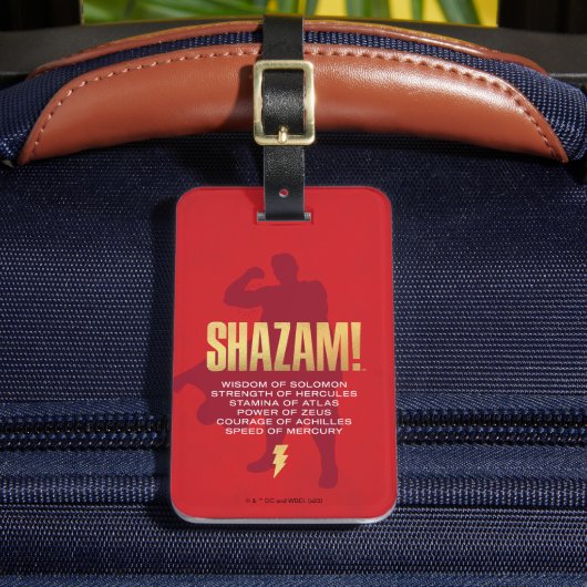 SHAZAM! Furie van de Goden | Flexibel silhouette Bagagelabel (Voorkant Insitu 2)