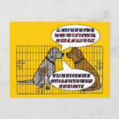 She Kicked Briefkaart (Voorkant)