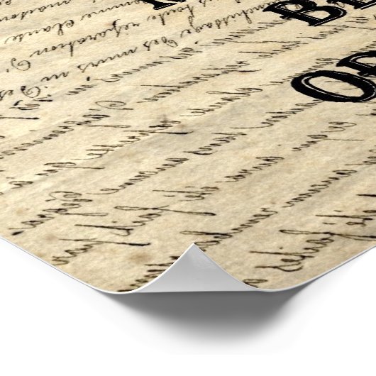 She who must be obeyed poster (Hoek)