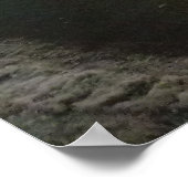 Shea's Buffalo Poster (Hoek)