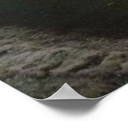 Shea's Buffalo Poster (Hoek)