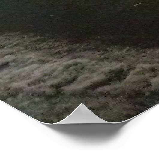 Shea's Buffalo Poster (Hoek)