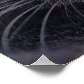 Sheba Cat Poster (Hoek)