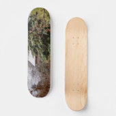 Shed Abandoned Persoonlijk Skateboard (Voorkant)