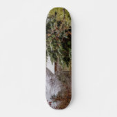 Shed Abandoned Persoonlijk Skateboard (Voorkant)