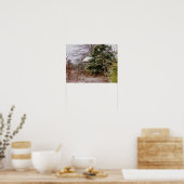Shed Abandoned Poster (Keuken)