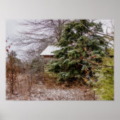 Shed Abandoned Poster (Voorkant)