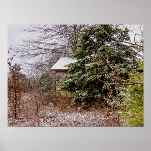 Shed Abandoned Poster (Voorkant)