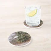 Shed Abandoned Zandsteen Onderzetter (Zijkant)