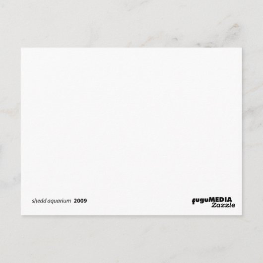 shedd aquarium briefkaart (Achterkant)