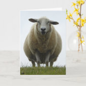 Sheep Apology Card Kaart (Gele Bloem)