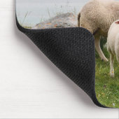 Sheep Beside Still Waters Muismat (Hoek)