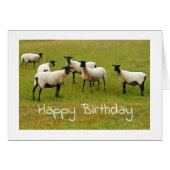 Sheep Birthday-kaart (Voorkant Horizontaal)
