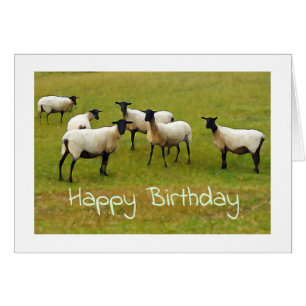 Sheep Birthday-kaart